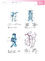 Sobotta Atlas of Human Anatomy  Head,Neck,Upper Limb Volume1 2006, page 28